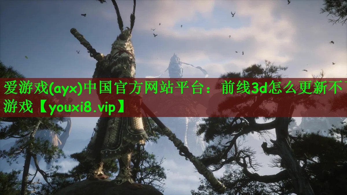 前线3d怎么更新不了游戏